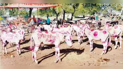 ರಾಮ್‌ರಹೀಂ-ಹನಿಪ್ರೀತ್‌ ಜೋಡಿ ರೂ. 11,000ಕ್ಕೆ ಮಾರಾಟ!