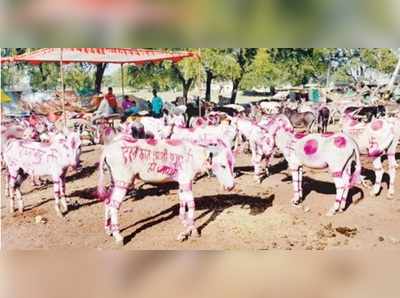 ರಾಮ್‌ರಹೀಂ-ಹನಿಪ್ರೀತ್‌ ಜೋಡಿ ರೂ. 11,000ಕ್ಕೆ ಮಾರಾಟ!