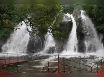 நெல்லை, குமாி மாவட்டங்களில் கனமழை; அருவிகளில் வெள்ளப்பெருக்கு