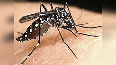 दिल्ली: मलेरिया ने तोड़ा 4 साल का रेकॉर्ड, डेंगी का भी कहर