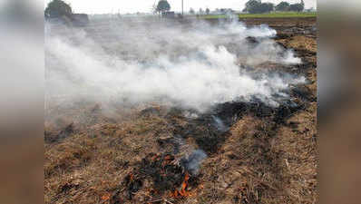 पराली जलाने पर 227 किसानों पर एफआईआर, वसूला गया करीब 12 लाख का जुर्माना
