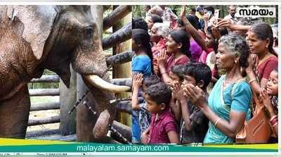 ഇവന്‍ അട്ടപ്പാടിക്കാരുടെ പീലാണ്ടി ഭഗവാൻ സ്വാമി