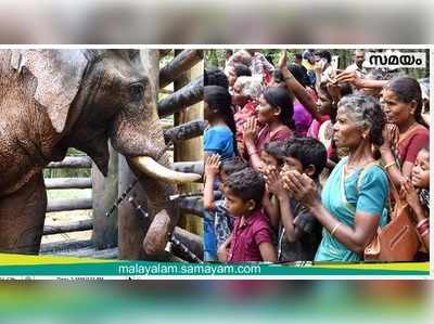 ഇവന്‍ അട്ടപ്പാടിക്കാരുടെ പീലാണ്ടി ഭഗവാൻ സ്വാമി