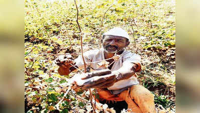 महाराष्ट्र: 5 महीने में 1,254 किसानों ने किया सूइसाइड, अब आंदोलन