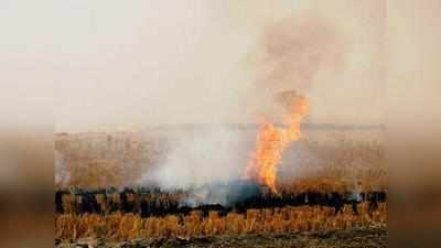 पराली जलाने पर हरियाणा सरकार ने जताई चिंता, केंद्र से मांगी मदद