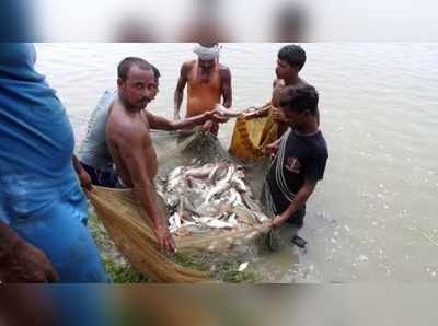 বাংলার মাছে নজর দুনিয়ার মত্স্যপ্রেমীর