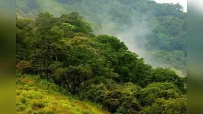 ഇടുക്കിയിലെ ചോലവനങ്ങളില്‍ വൻ മാലിന്യ നിക്ഷേപം