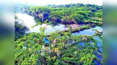 ಕಮಲಾವತಿ ಕಲುಷಿತ: ಸ್ಪಂಧಿಸದ ಜಿಲ್ಲಾಡಳಿತ