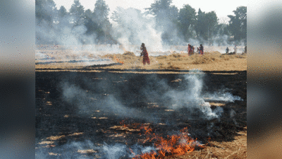 पराली से बायो एनर्जी बनाएगा पंजाब, 10 हजार करोड़ की लागत से प्लांट बनाने की तैयारी