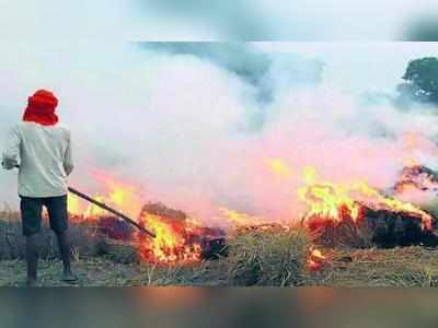 பூச்சி தாக்குதலால் வயலுக்கு தீ வைத்த விவசாயி.!