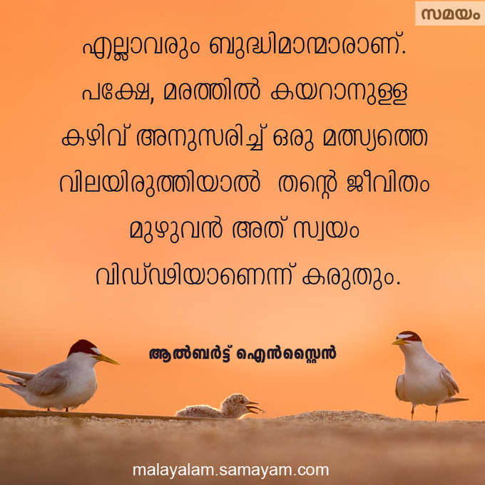 വാക്കുകൾ