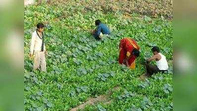 ‘ऐप जी’ से पूछकर सब्जियां उगाते-बेचते हैं किसान