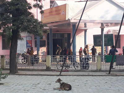 शर्मनाक: यूपी के जिला अस्पताल से बच्ची के शव को उठा ले गया कुत्ता