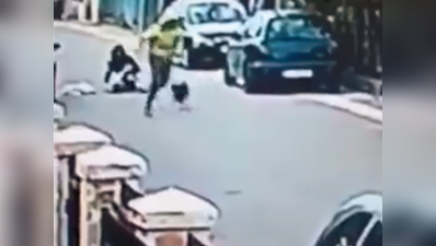 देखें: जब आवारा कुत्ते ने महिला को लुटेरे से बचाया