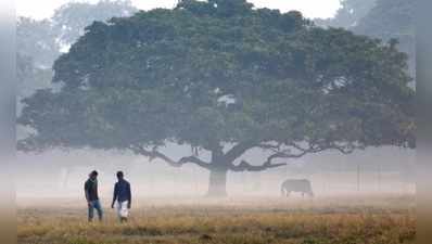 পারাপতন চলছে, হাফ সোয়েটারে ওম খুঁজছে শহর