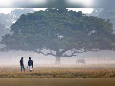 পারাপতন চলছে, হাফ সোয়েটারে ওম খুঁজছে শহর