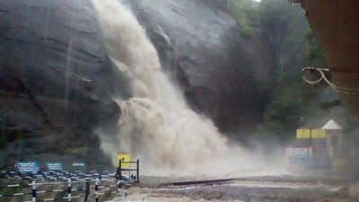 Watch: Water gushes from Courtallam Falls following heavy rains in Tamil Nadu 