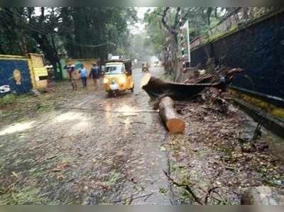 ধেয়ে আসছে সাইক্লোন অক্ষি! প্রবল বৃষ্টি শুরু কেরালা-তামিলনাড়ুতে