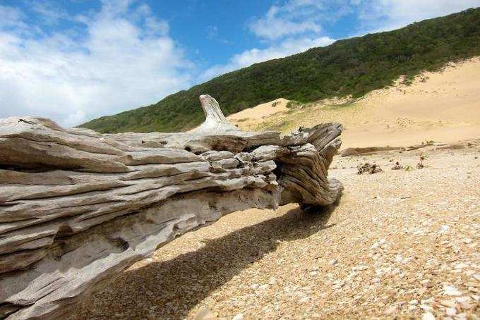 ஜெஃப்ரேஸ் பே, தென் ஆப்பிரிக்கா(Jeffreys Bay, South Africa)