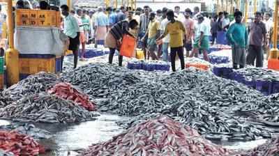 ஒகி புயலால் பாதிப்பு; கேரளாவில் கடுமையான சரிவை கண்ட மீன்கள் விற்பனை!