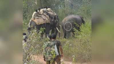 ಅರವಳಿಕೆಯನ್ನೇ ಜೀರ್ಣಿಸಿಕೊಂಡ ಕಾಡಾನೆ: ಕಾರ್ಯಾಚರಣೆ ವಿಫಲ