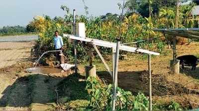 প্রযুক্তি নির্ভর চাষে ভোলবদল গ্রামের, লক্ষ্মীলাভে গৃহলক্ষ্মীরা