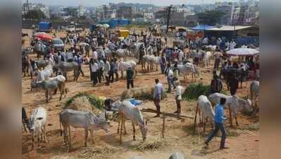 30 ವರ್ಷಗಳ ಬಳಿಕ ಜಾತ್ರಾ ಸಂಭ್ರಮ