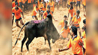 இந்தியன் பிரீமியர் லீக் போட்டியாக திரும்ப வரும்
ஜல்லிக்கட்டு!