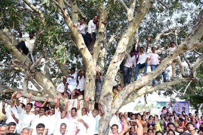 500 కి.మీ.దాటిన జగన్ పాదయాత్ర