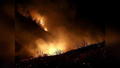 कैलिफॉर्निया के जंगलों की आग राज्य के इतिहास में दूसरी सबसे बड़ी आग