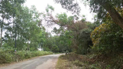 ಎಚ್ಚರಿಕೆಯಿಂದ ಡ್ರೈವ್‌ ಮಾಡಿ