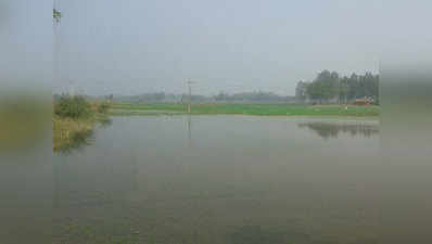 सिंचाई विभाग की लापरवाही से कट गया रजबहा, 100 बीघा फसल हुई जलमग्न