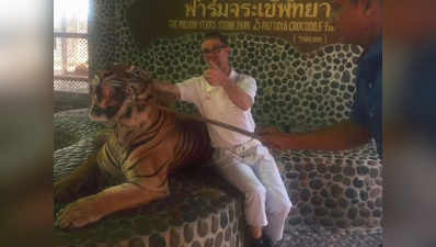 थाइलैंड: अच्छे फोटो के लिए बाघ को मारता था ज़ू स्टाफ
