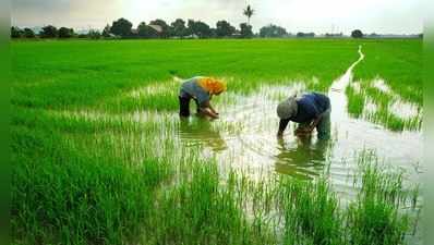 നെൽവയൽ നികത്തുന്നത് ഇനി ക്രിമിനല്‍ കുറ്റം