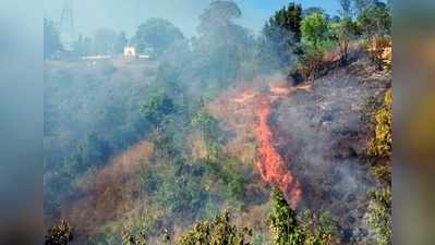 ಸಿಗರೇಟ್‌ ಕಿಡಿಗೆ ರಾಜಾಸೀಟ್‌ನ 20 ಎಕರೆ ಭಸ್ಮ