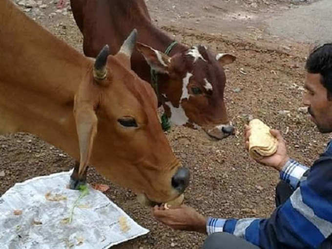 गाय और कुत्‍ते को खिलाएं रोटी