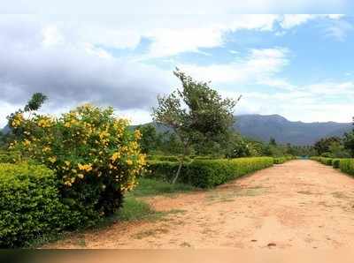 ಶಿಶುಗೀತೆ: ಭೂಮಿ ಬಾಡಿಗೆ ಬೇಡೈತಾ?