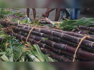 பொங்கல் திருநாளை முன்னிட்டு கரும்பு விலை அதிகரிப்பு