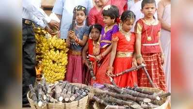 ಶಿಶುಗೀತೆ: ಸುಗ್ಗಿಯ ಹಿಗ್ಗಿನ ಸಂಕ್ರಾಂತಿ