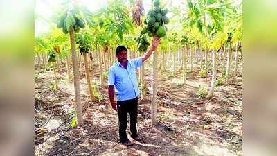 ಮಿಠಾಯಿ ವ್ಯಾಪಾರಿಗೆ ಸಿಹಿ ನೀಡಿದ ಭೂತಾಯಿ