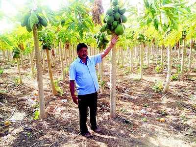 ಮಿಠಾಯಿ ವ್ಯಾಪಾರಿಗೆ ಸಿಹಿ ನೀಡಿದ ಭೂತಾಯಿ