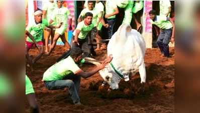 உலகப் புகழ்பெற்ற அலங்காநல்லூர் ஜல்லிக்கட்டு: தொடங்கி வைத்தார் முதல்வர்!