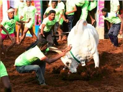 உலகப் புகழ்பெற்ற அலங்காநல்லூர் ஜல்லிக்கட்டு: தொடங்கி வைத்தார் முதல்வர்!