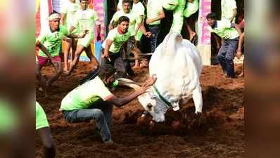 அலங்காநல்லூர் ஜல்லிக்கட்டு: கார், பைக் என காத்திருக்கும் பரிசுகள்