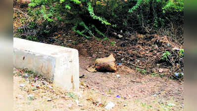 ರಕ್ತದ ಗೋಣಿ ಚೀಲ ನೋಡಿ ಬೆಸ್ತು ಬಿದ್ದ ಜನ!