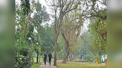 ಸೌಕರ್ಯವಿಲ್ಲದೇ ಸೊರಗುತ್ತಿದೆ ಗಾಂಧಿ ಪಾರ್ಕ್‌