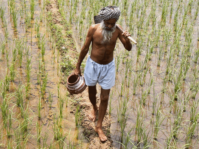 किसान, कृषि विभाग