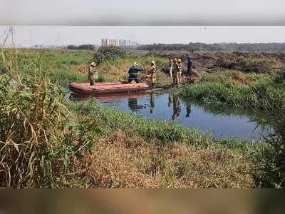 ಬೆಳ್ಳಂದೂರು ಕೆರೆ ಬೆಂಕಿ ನಂದಿಸುತ್ತಿದ್ದಾಗ ಹಾವು ಕಡಿತ