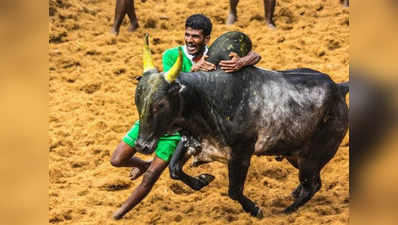 जल्लीकट्टू हादसा: मृतक के परिवार को ऐक्टर ने दी ₹1 लाख की मदद