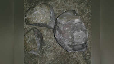 गुजरात में खुदाई के दौरान मिला डायनॉसॉर का अंडा?